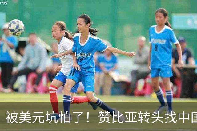 被美元坑怕了！赞比亚转头找中国：铜矿换人民币，这买卖划算！